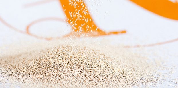 Renaissance Ingredients brewers yeast