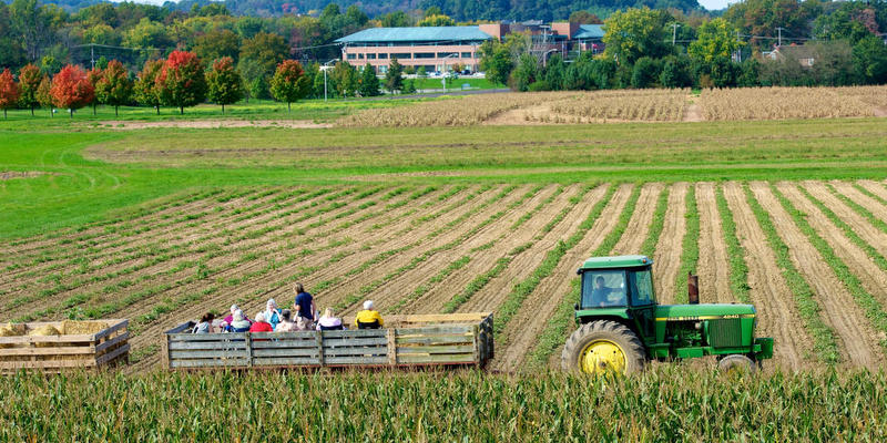 Shady Brook Farm