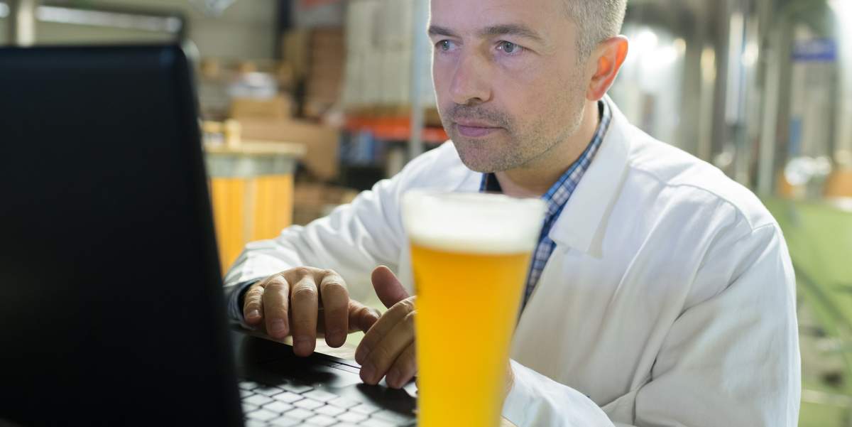 brewer beer pro looking at computer webinar with beer in brewery