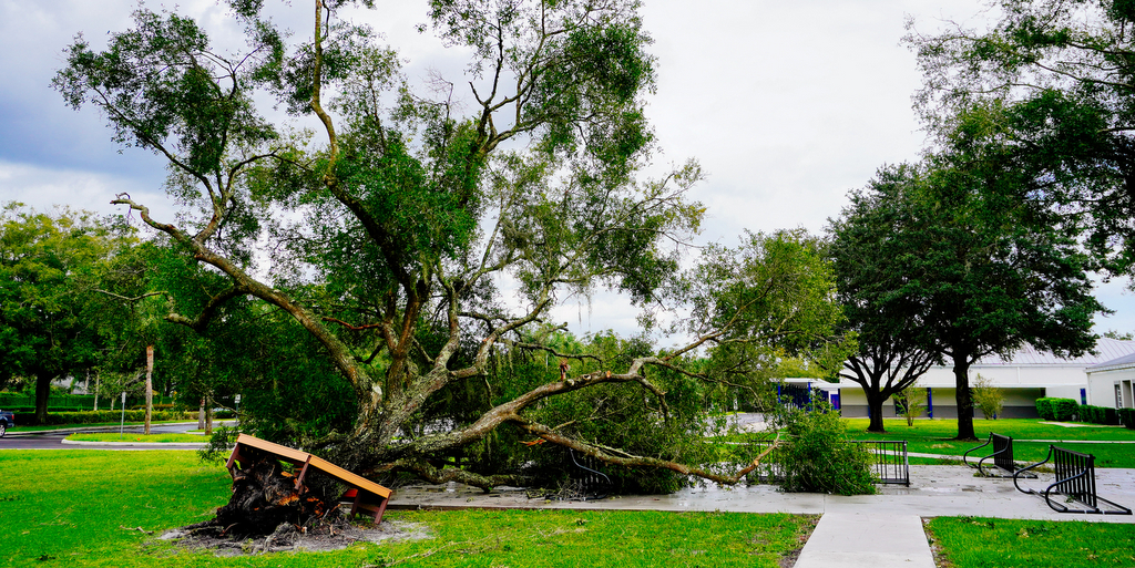 hurricane helene